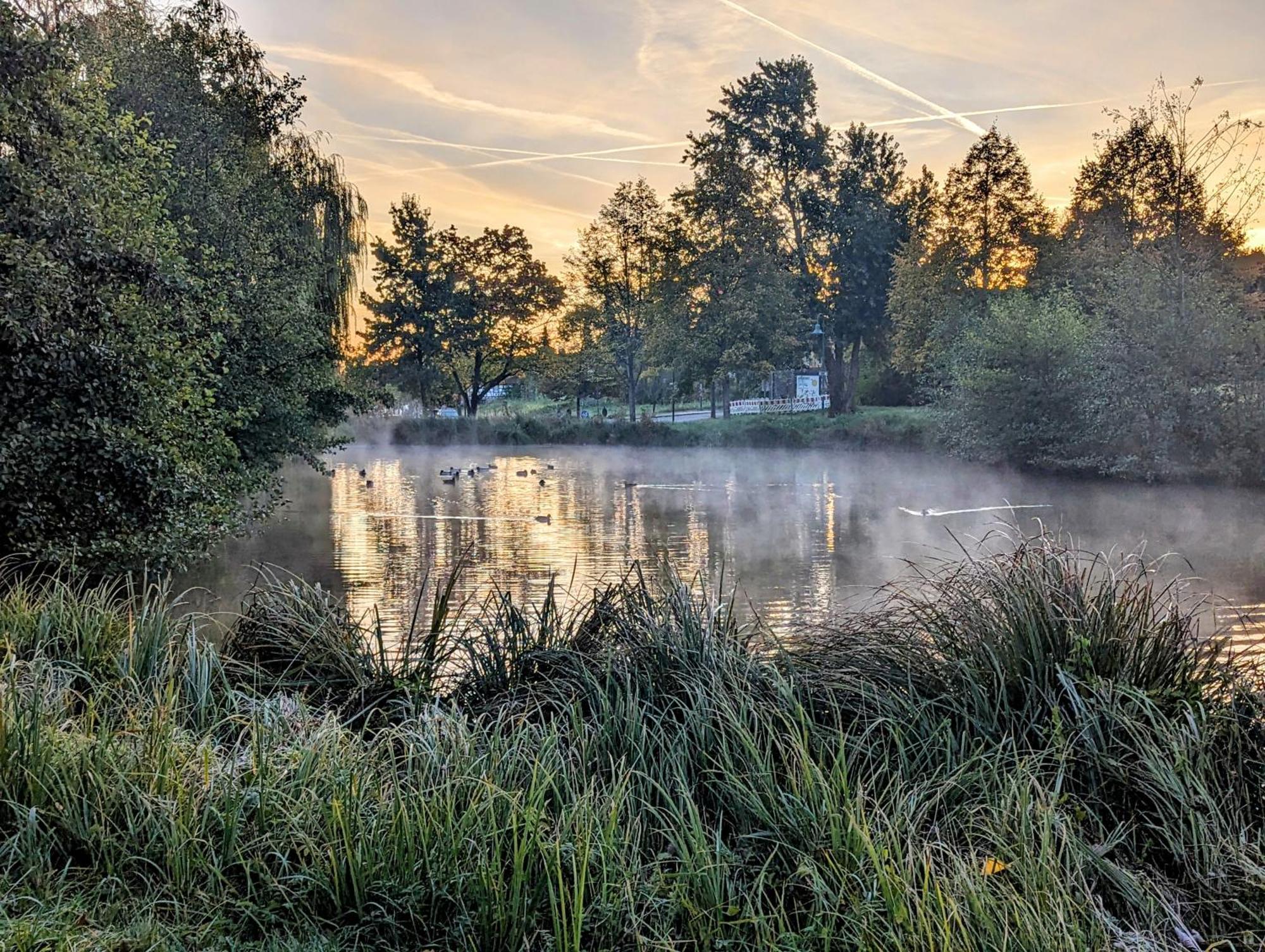 Ferienhaus Am Park Klingenmuenster Luaran gambar
